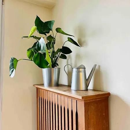 Blue Moon - Heweliusz, Old Town *