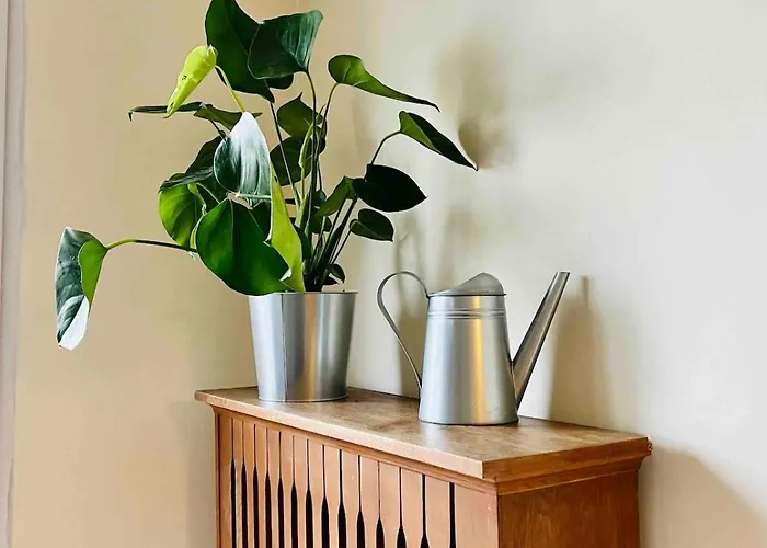 Blue Moon - Heweliusz, Old Town *